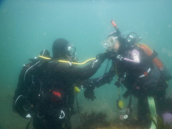 Advanced Open Water Diver