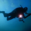 Underwater Photography - Image 3