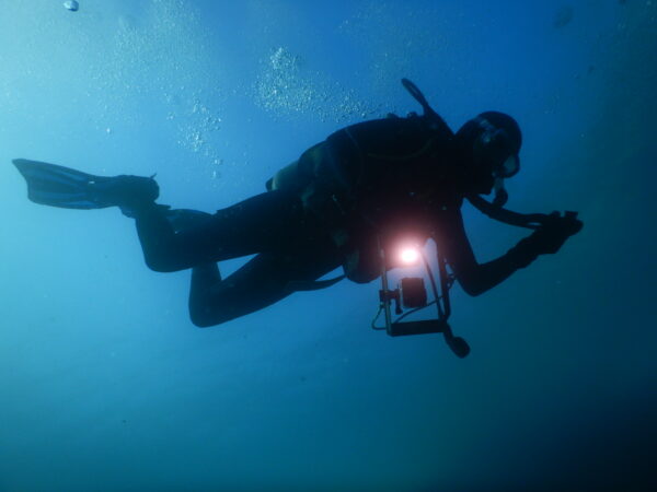 Underwater Videographer - Image 3