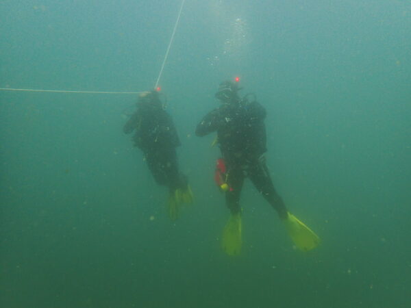 Open Water Diver - Image 3