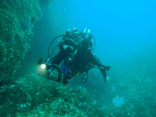 Underwater Videographer - Image 2