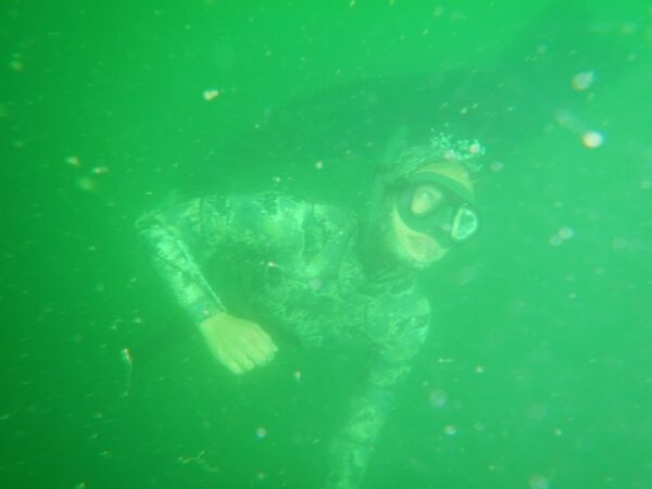 Freediver - Image 7